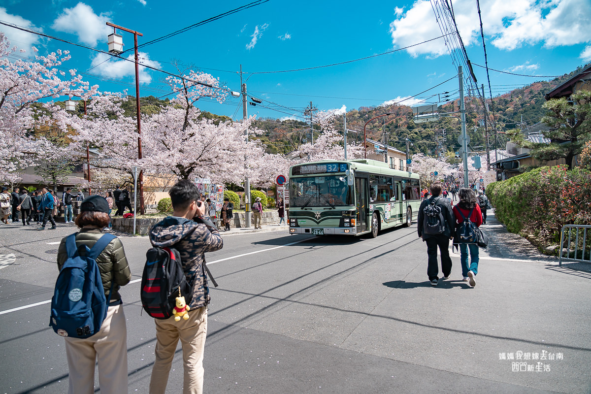 【日本旅遊】來日本看櫻花囉!! 京都哲學之道，滿滿的櫻花超浪漫~