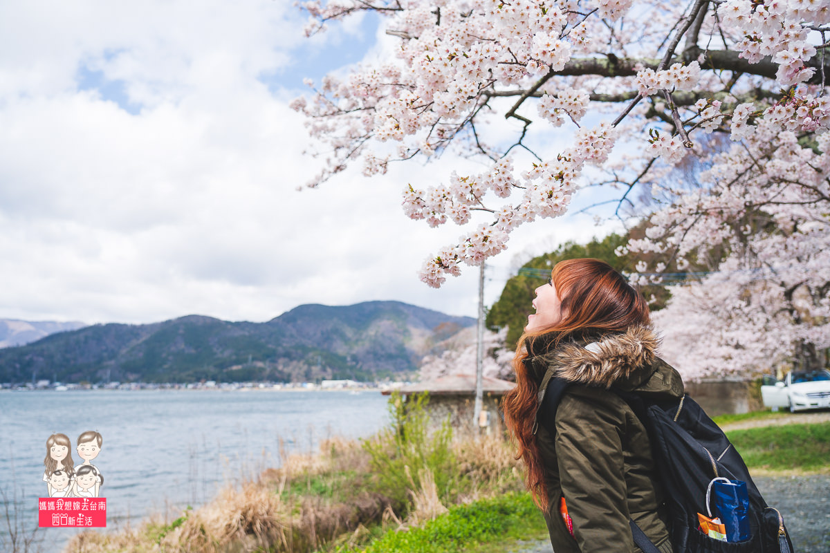 日本旅遊 來日本看櫻花囉 一整排美麗的櫻花 就像在畫中 琵琶湖畔賞櫻名所 海津大崎 媽媽我想嫁去台南 四口新生活