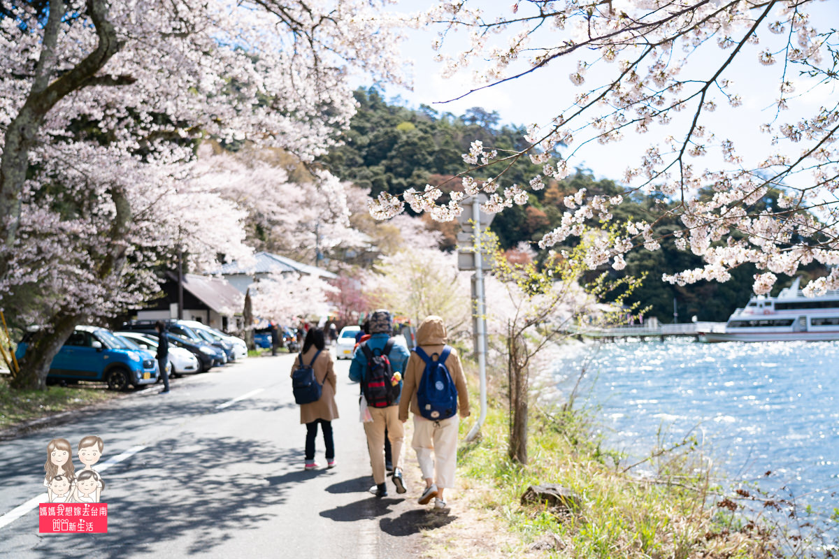 【日本旅遊】來日本看櫻花囉~一整排美麗的櫻花，就像在畫中…琵琶湖畔賞櫻名所-海津大崎!